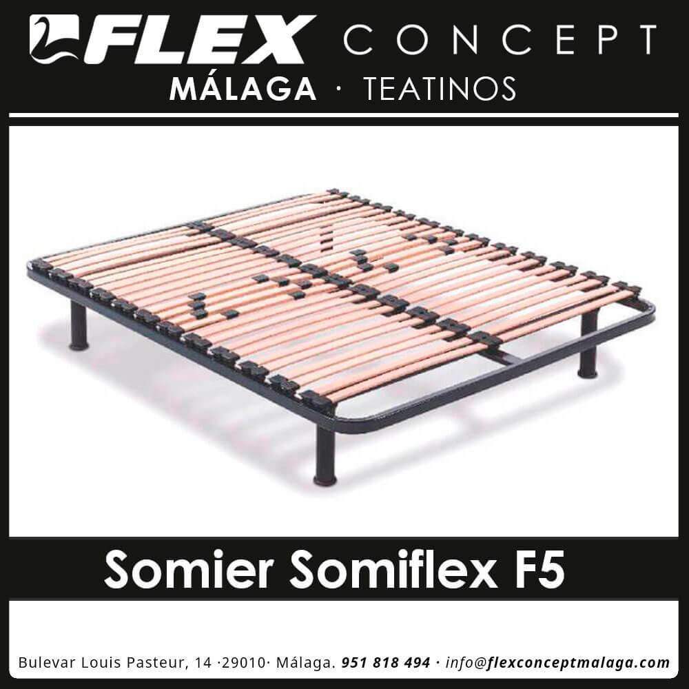 somier somiflex f5 flex