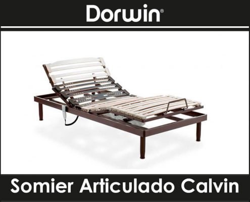 Somier Articulado Calvin de Dorwin