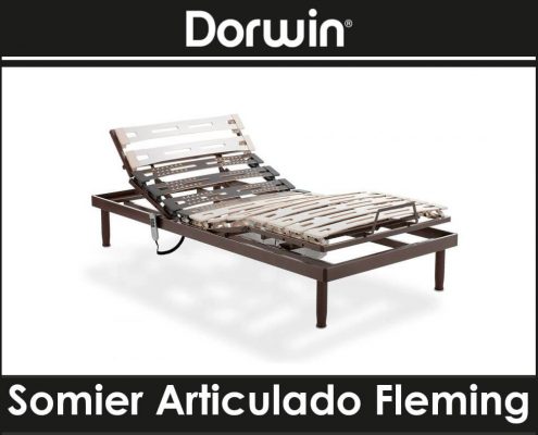 Somier Articulado Fleming de Dorwin