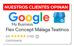 Google MyBusiness flex concept malaga teatinos